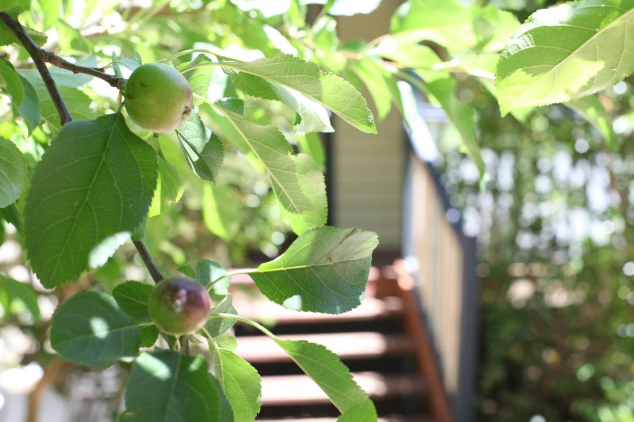 Allegra Cottage Of Leura Bagian luar foto